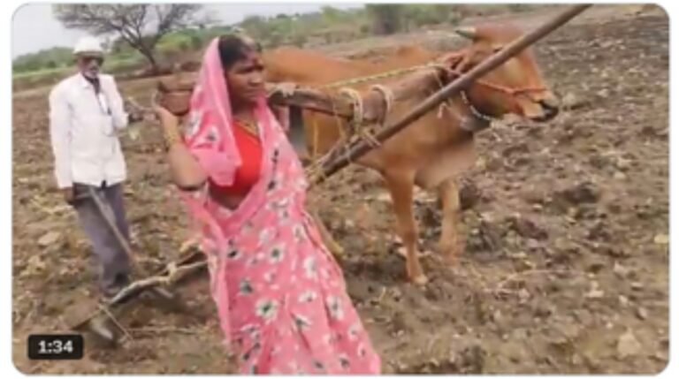 औताला बैलाऐवजी पत्नीचा खांदा – आणि मुख्यमंत्र्यांनी दिलेला न्याय
